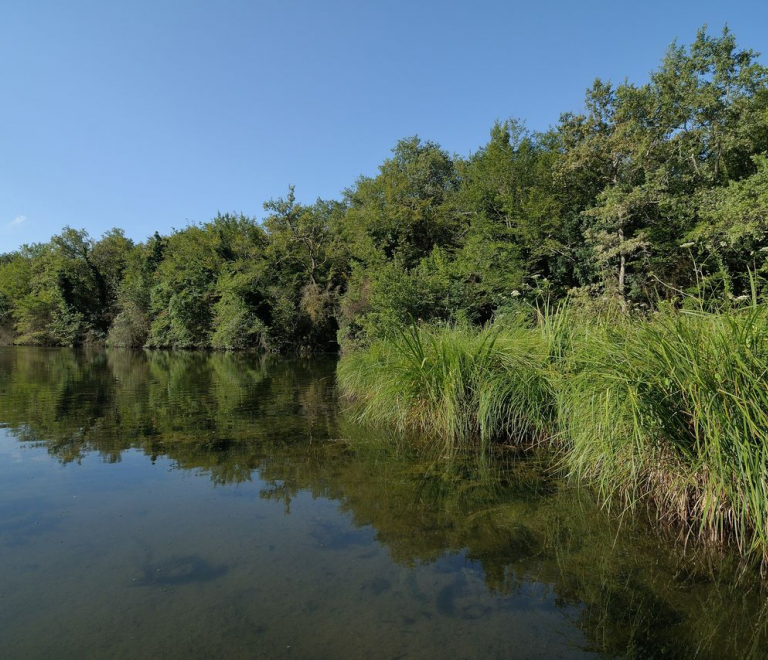 Espace Naturel Sensible de la Save : étang de Roche Plage et communaux de Thuile