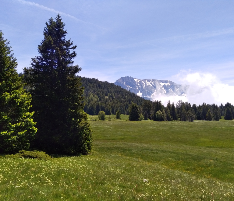 Plateau de l'Arselle