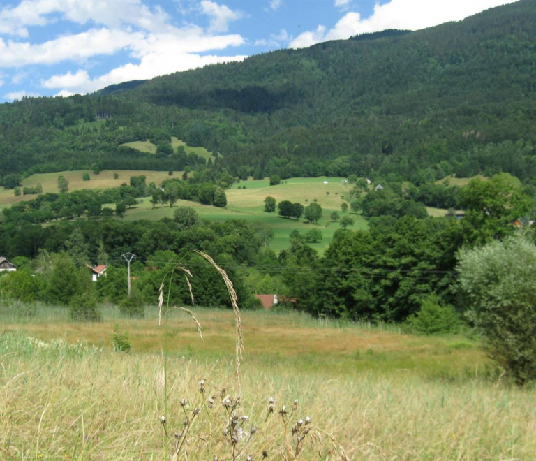 Bel&#039;Vélec Theys - Marais des Bruns