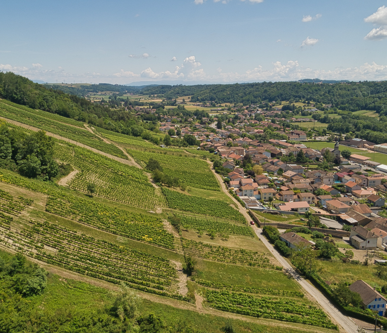 Randonnée pédestre les coteaux de la Rémonde