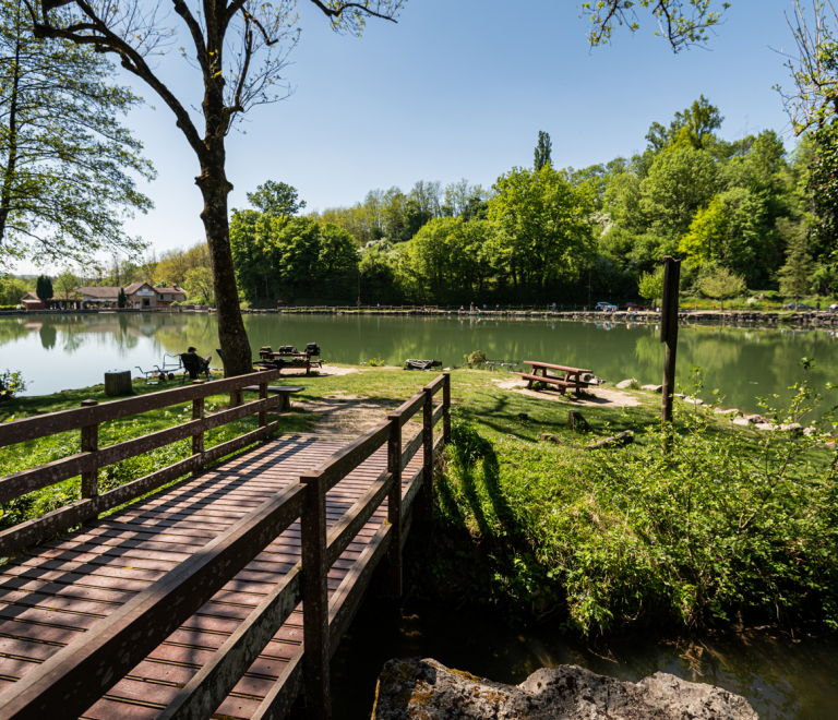 Randonnée pédestre entre nature et histoire