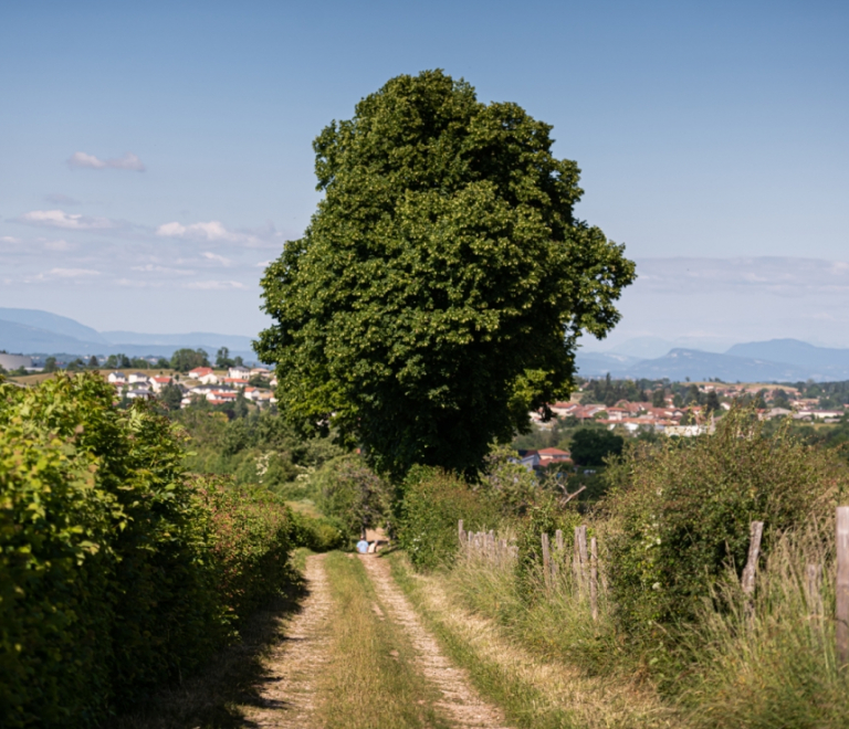 Grande randonnée équestre dans les Terres Froides