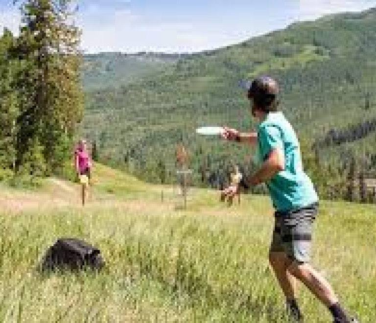 Frisbee golf image