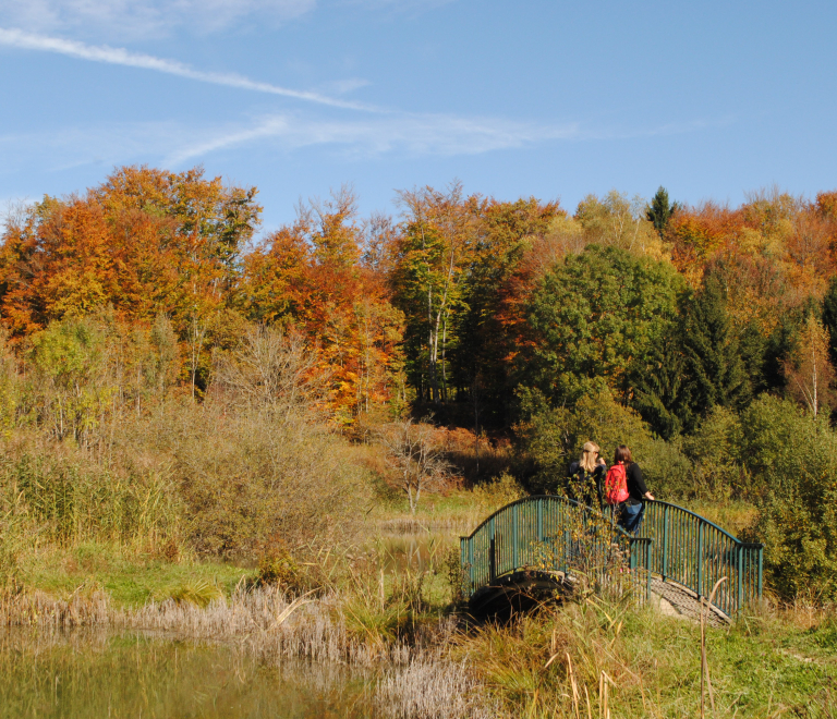 Etang des chartreux