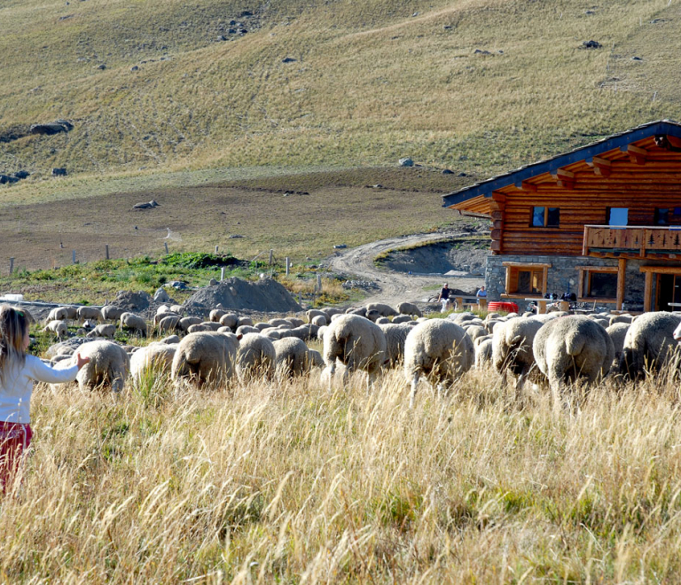 Le refuge de Sarenne