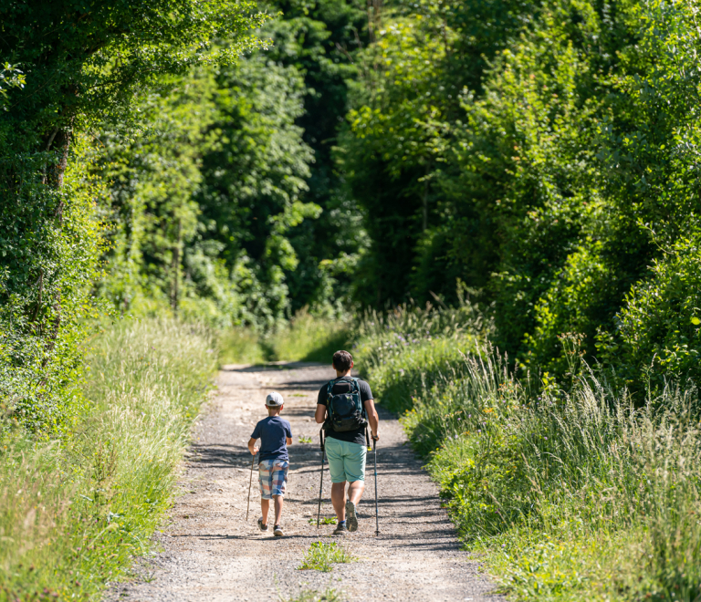 Randonnée VTT de l&#039;étang de belle étoile