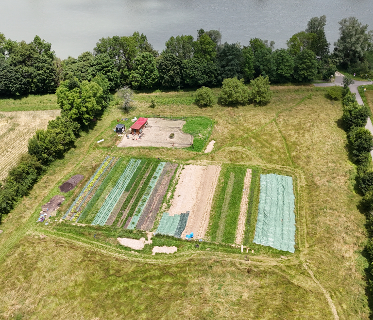 Les jardins du Port Saint Jean - producteur - Brangues - Balcons du Dauphin