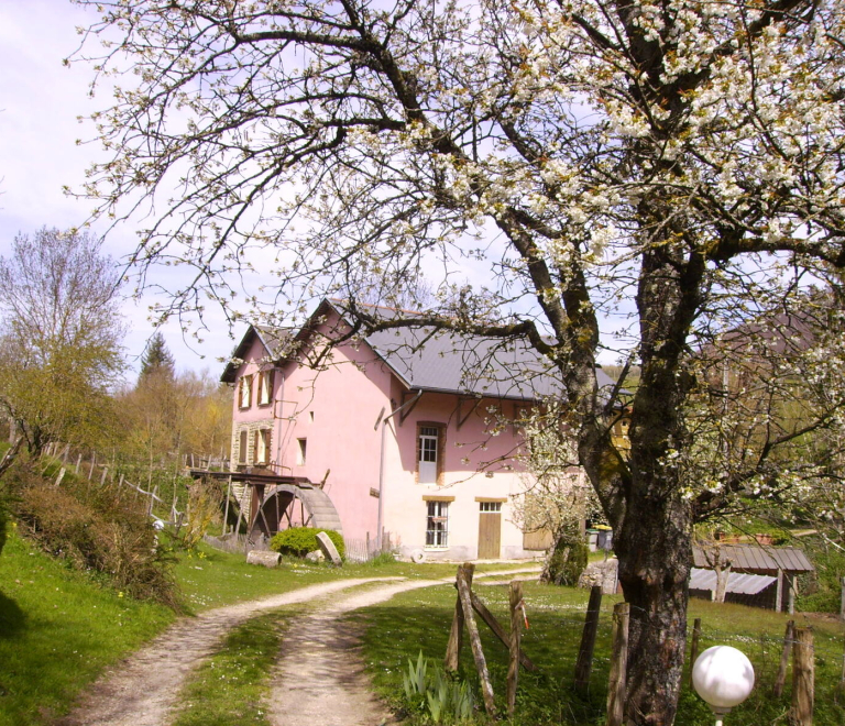 Visite commentée du Moulin Rose