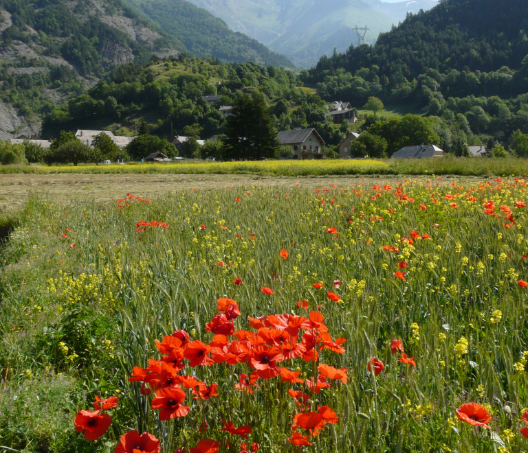 Parcours sonore du Valbonnais