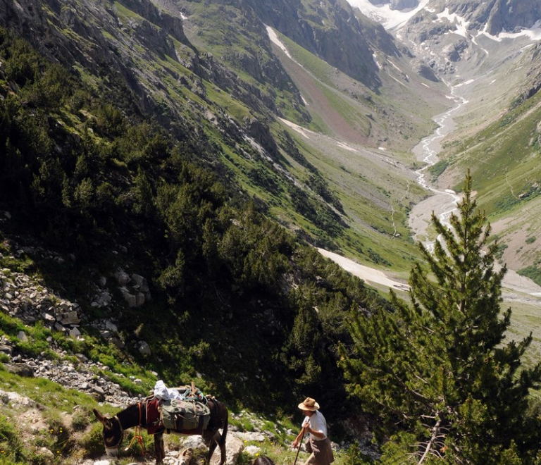 Au fond le glacier de la Pilatte