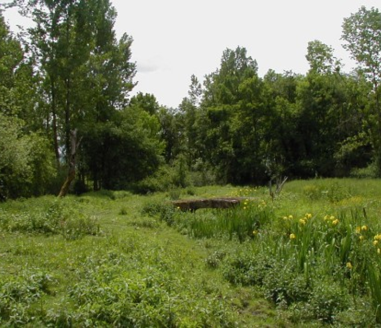 Vue sur une partie trs herbor et arbor du Sentier Boucle des Moles